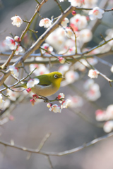 春の日差しに包まれて