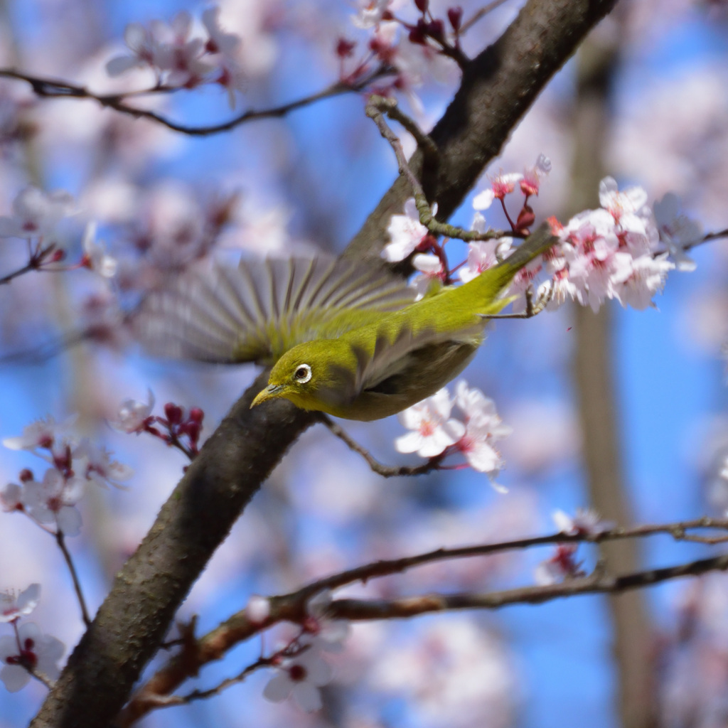 感動は新鮮なうちに