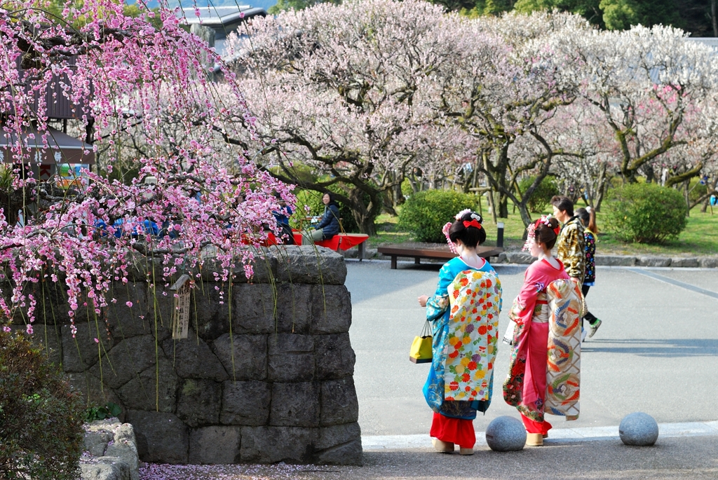 艶やかな日