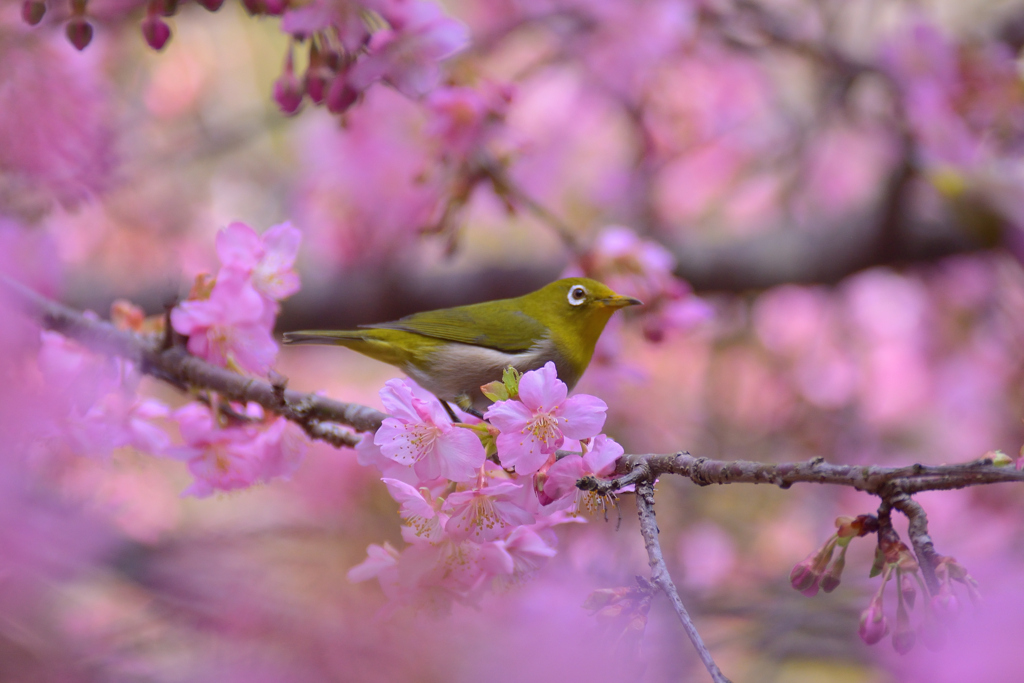 お出迎え