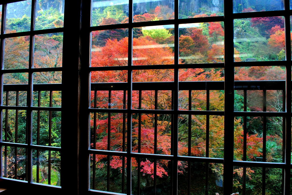 紅葉の窓