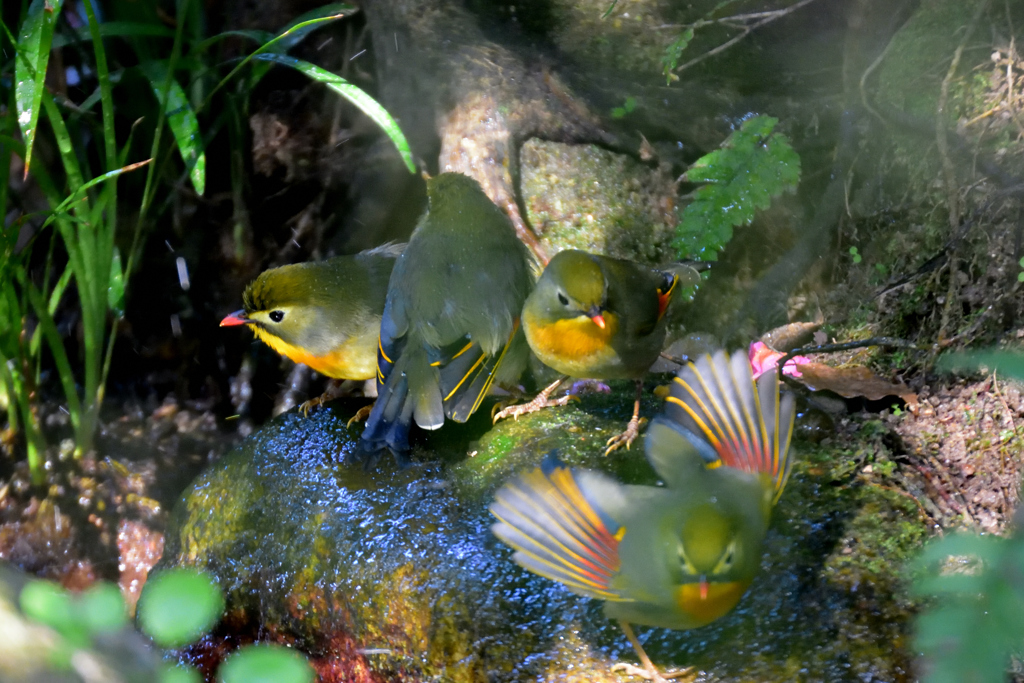 君！危ないよ。