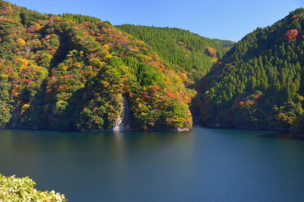 湖畔の紅葉