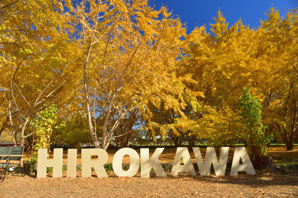 太原のイチョウ