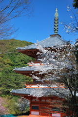 筑後の清水寺