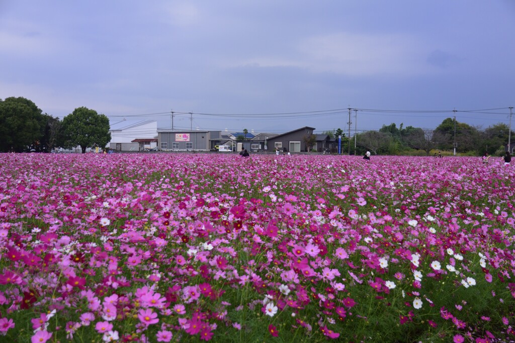 どんより～