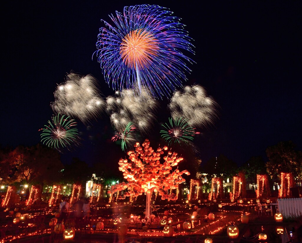 ハウステンボスの花火 ③