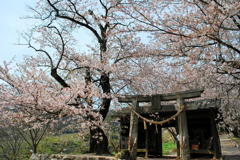 夕月神社