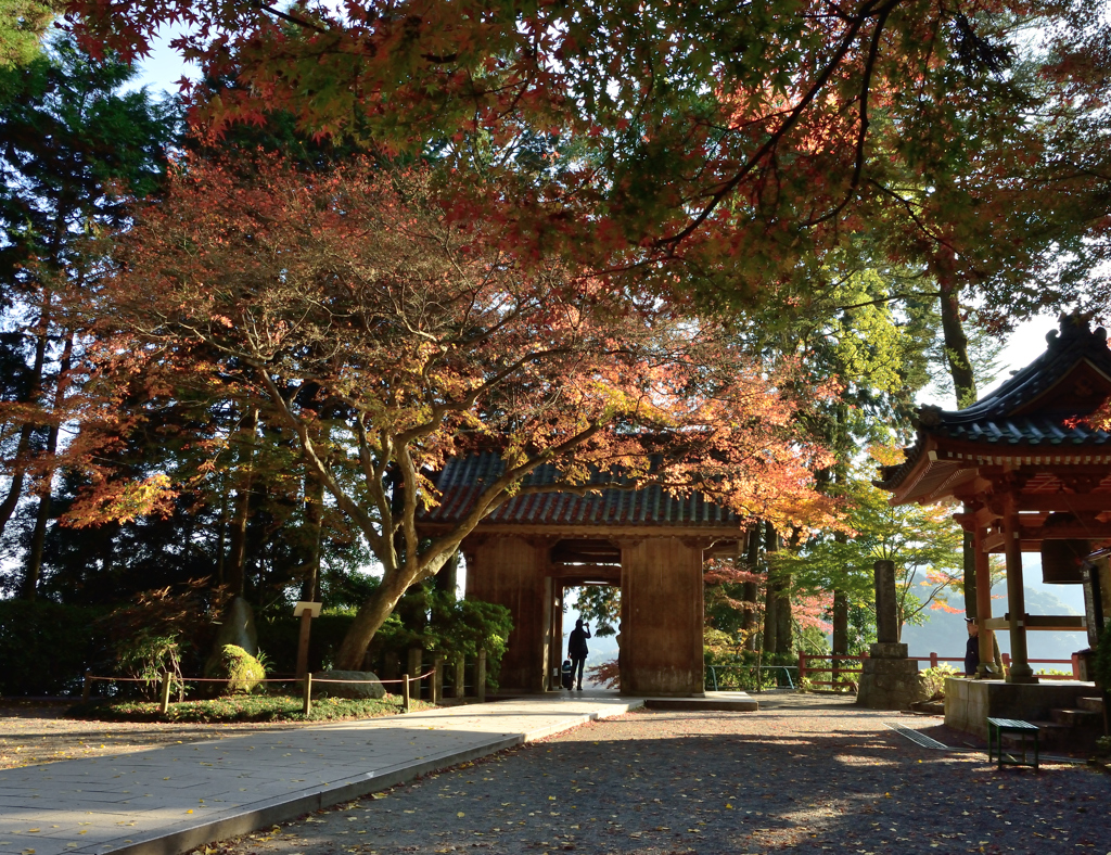 大興善寺の紅葉５