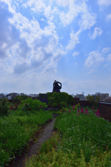 屋上庭園