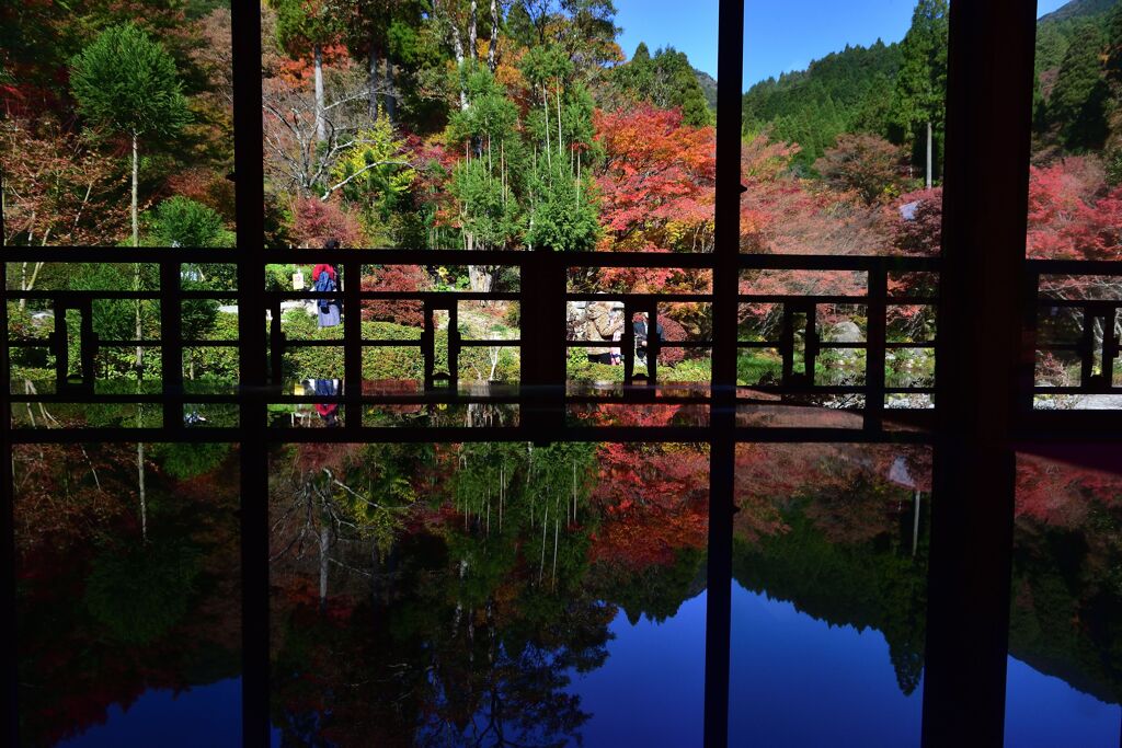 蒼い空