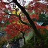 茅葺屋根と紅葉