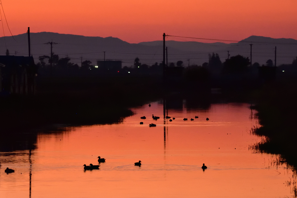 クリークの夕景