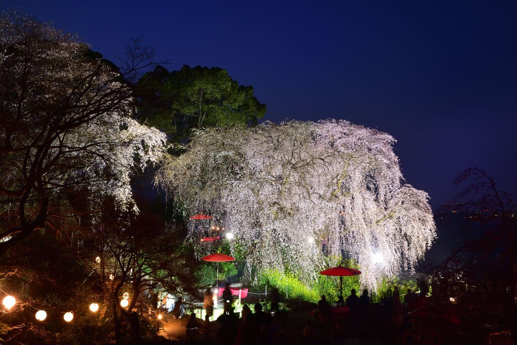 夜空に浮かぶ