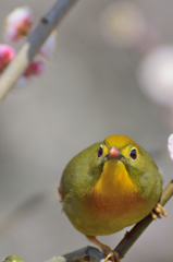 近すぎです(^^)
