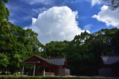 夏の雲