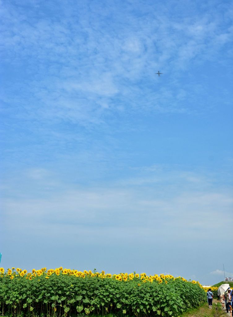 空の上から