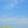 空の上から