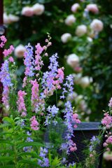 素敵なテーブル席