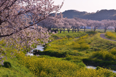 春の夕暮れ