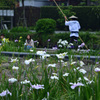 寂しいお堀沿い