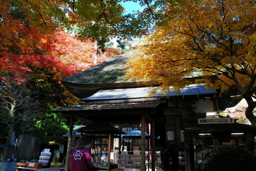 大興善寺の紅葉（１）