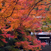 紅葉に包まれて
