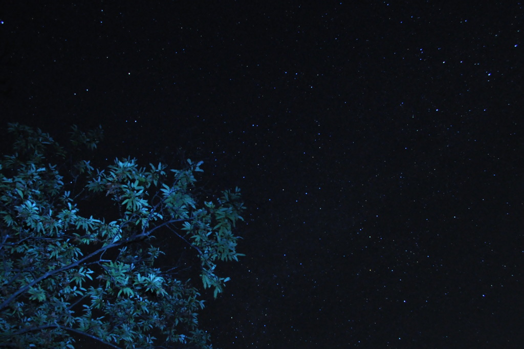 夜空へのびる