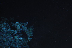 夜空へのびる