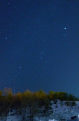 流星、森に消ゆ