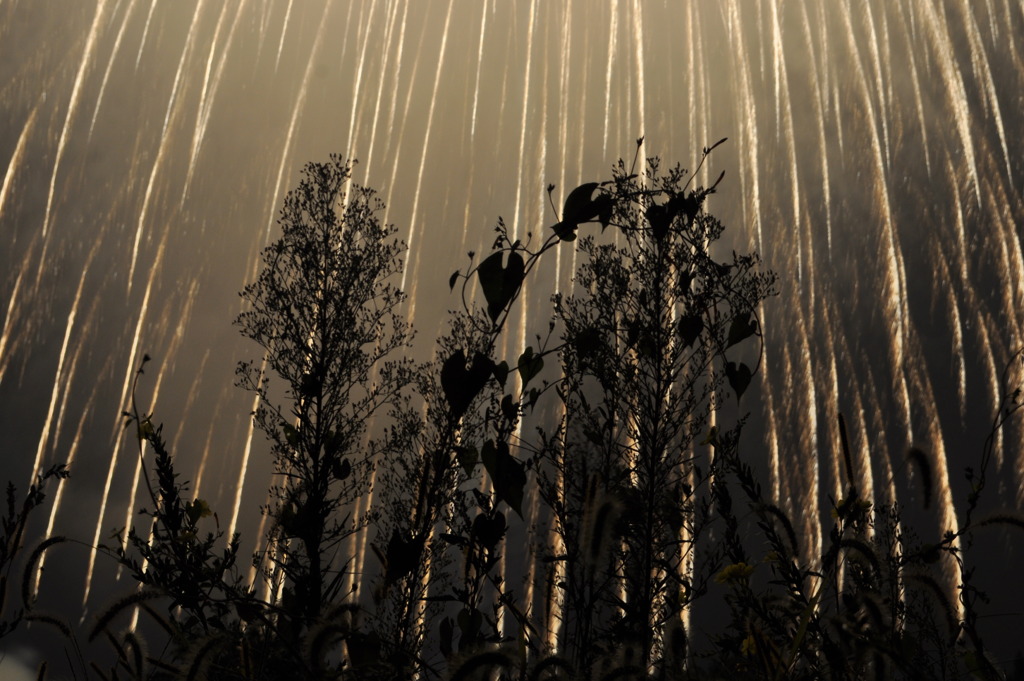 光の雨