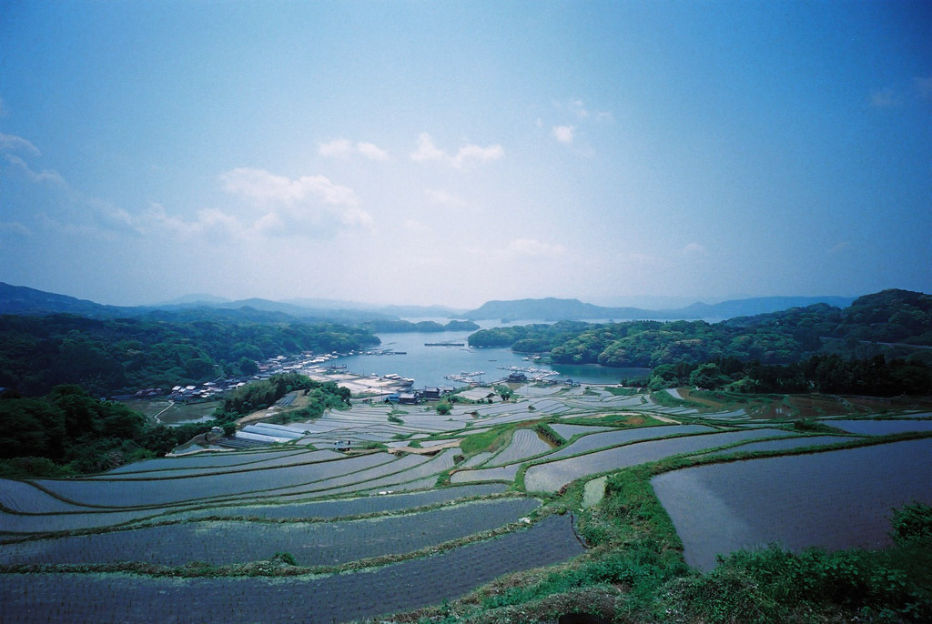 初めての棚田その３