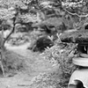 藩校　　郡上八幡にて
