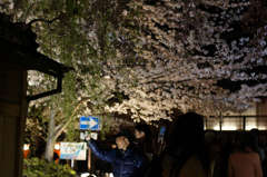 祇園白川Ⅱ