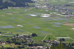 梅雨明け10日・・・阿蘇谷です