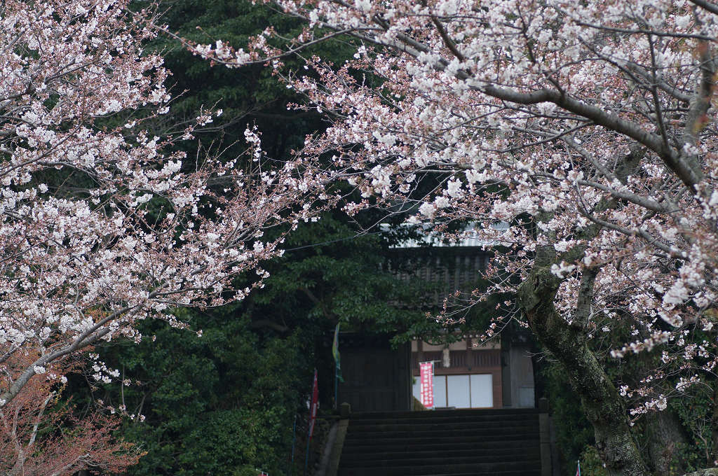 お寺にて