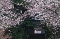 お寺にて