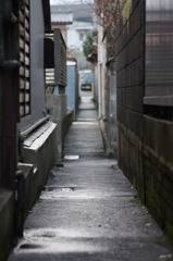 懐かしの小路