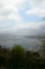 海の見える公園で、、、４