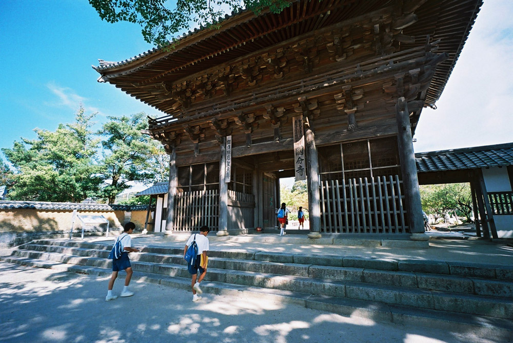 国分寺にて