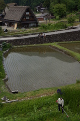 入梅前