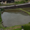 入梅前