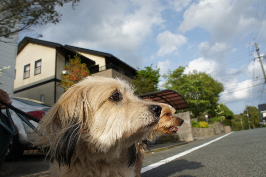 なんかなあ？