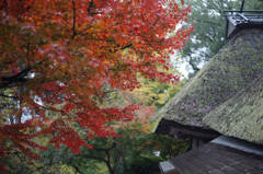 大興善寺　2013