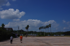 残暑