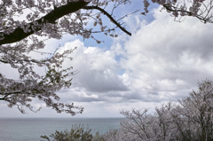 海の見える公園で、、、３