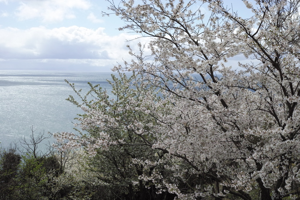 海の見える公園で、、、５