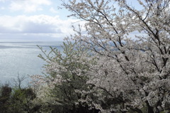 海の見える公園で、、、５