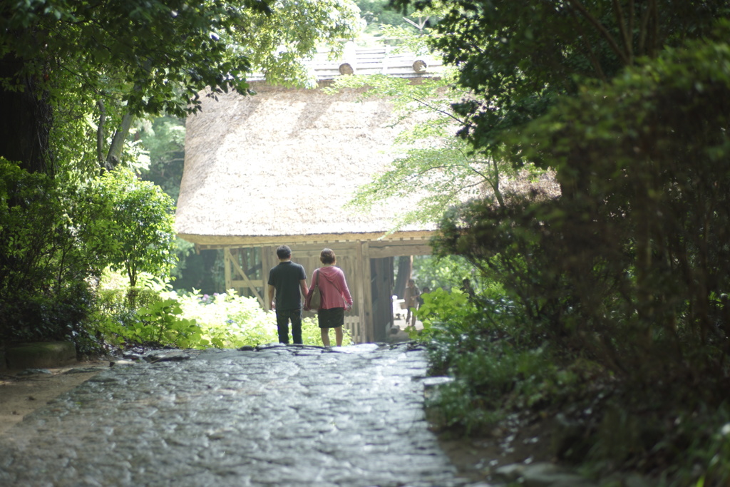 阿弥陀寺　５