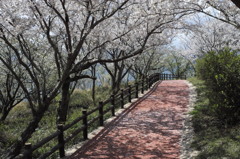 海の見える公園で、、、１